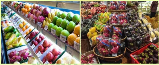 选择仙果小镇开店费用怎么样？加盟预计投资多少钱？